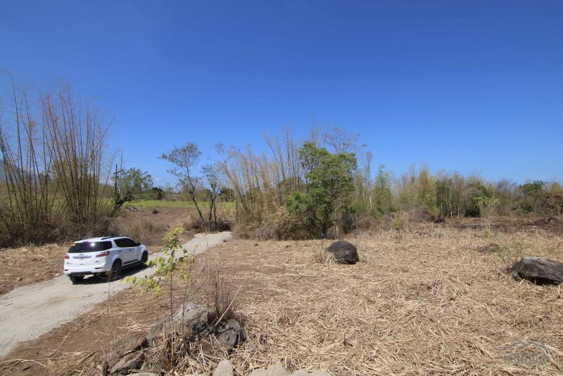 Residential Lot for sale in Dumaguete - image 8