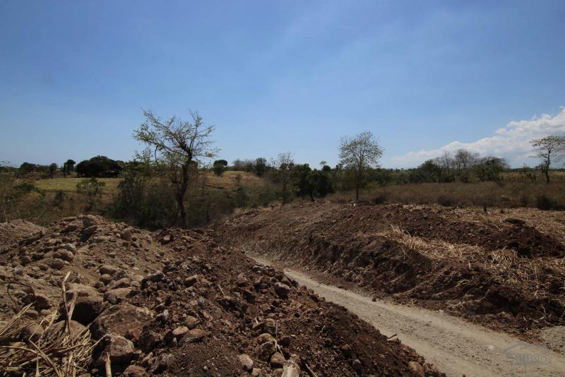 Residential Lot for sale in Dumaguete - image 9