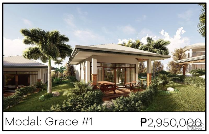 1 bedroom House and Lot for sale in Dumaguete - image 5