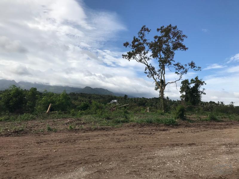 Residential Lot for sale in Dumaguete - image 18