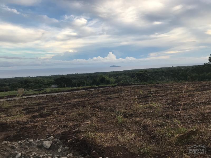 Residential Lot for sale in Dumaguete in Negros Oriental