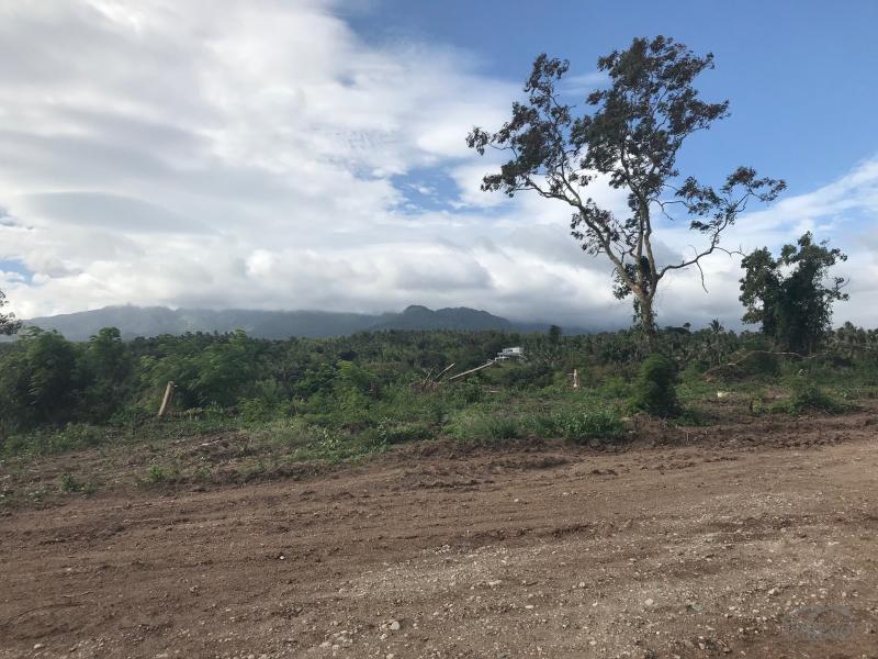Residential Lot for sale in Dumaguete - image 8