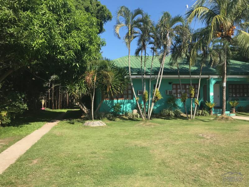 Resort Property for sale in Dumaguete - image 3