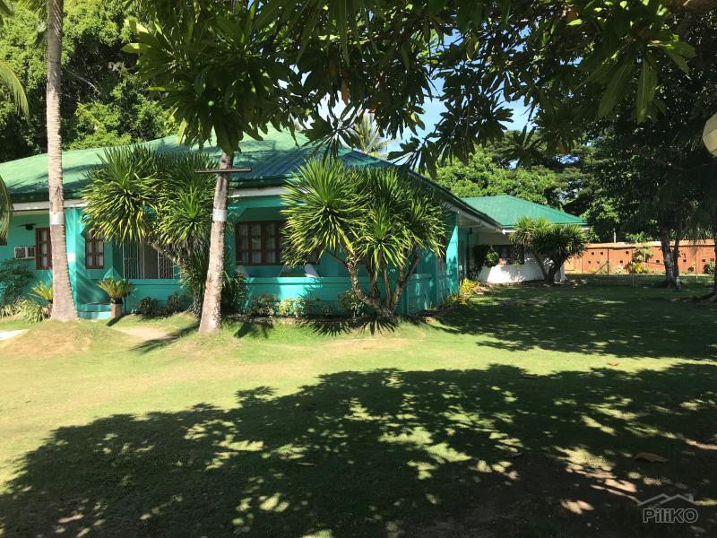 Resort Property for sale in Dumaguete in Philippines - image
