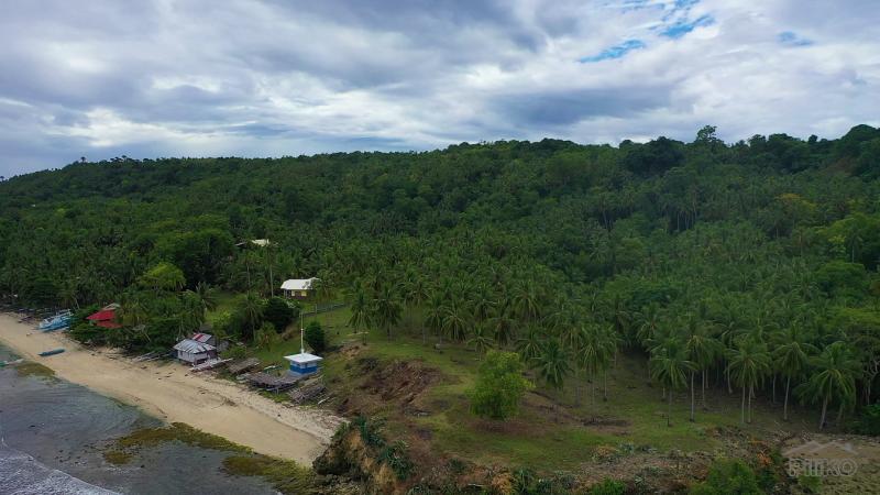 Residential Lot for sale in Maria - image 10