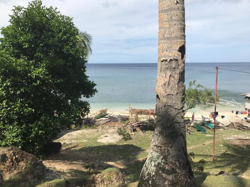 Residential Lot for sale in Maria - image 11