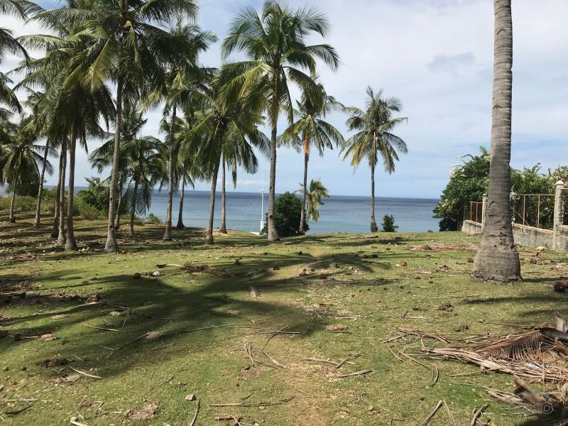 Residential Lot for sale in Maria - image 12