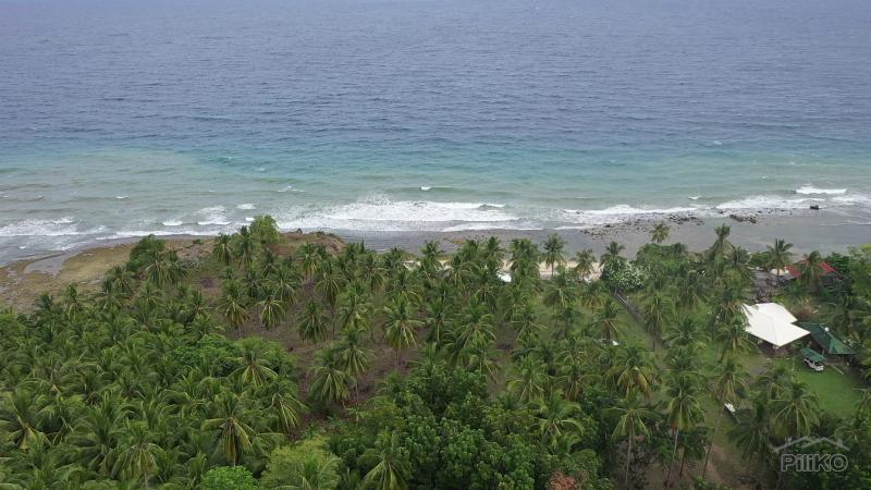 Residential Lot for sale in Maria