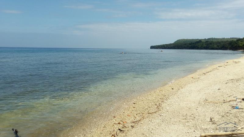 Residential Lot for sale in Maria in Siquijor
