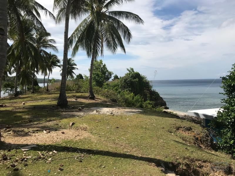 Residential Lot for sale in Maria - image 6