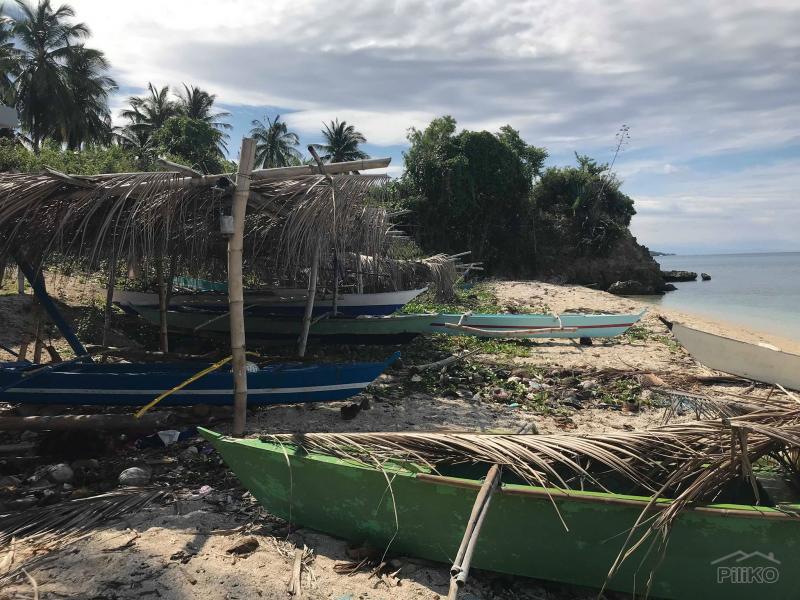 Residential Lot for sale in Maria in Siquijor - image