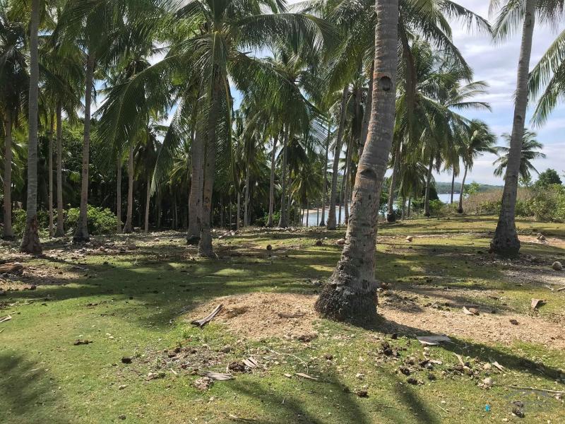 Residential Lot for sale in Maria - image 9