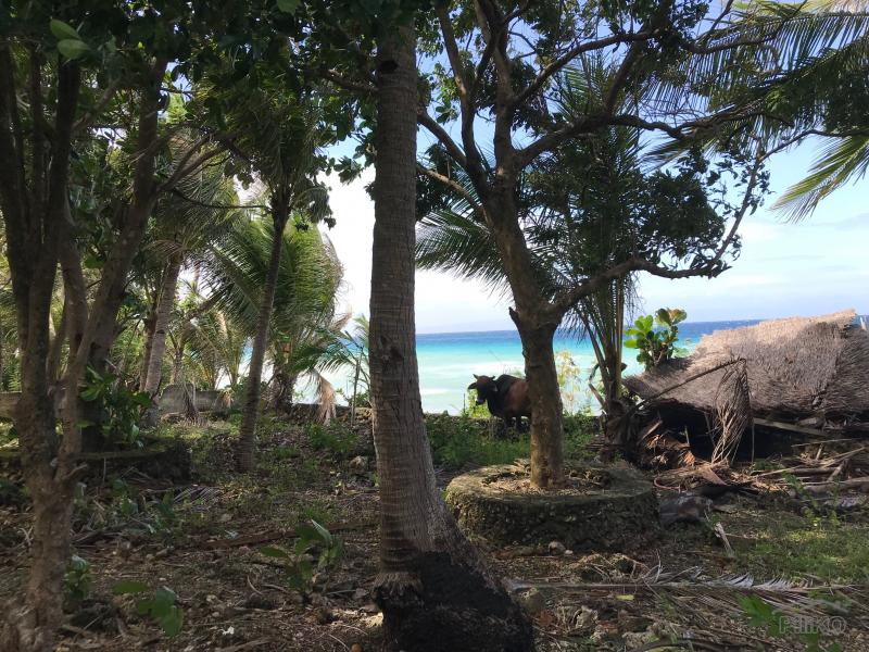 Commercial Lot for sale in Siquijor - image 10