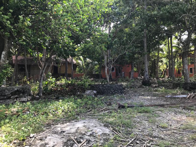 Commercial Lot for sale in Siquijor - image 16