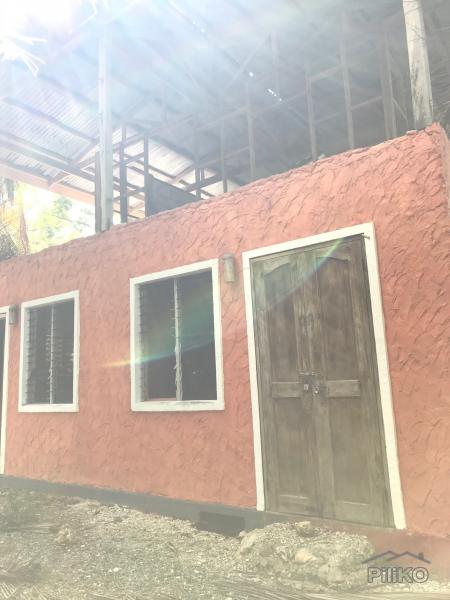 Commercial Lot for sale in Siquijor - image 17