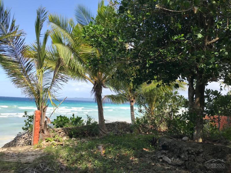 Commercial Lot for sale in Siquijor in Siquijor - image