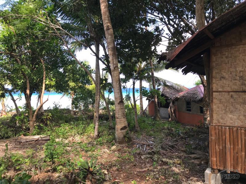 Commercial Lot for sale in Siquijor in Philippines - image