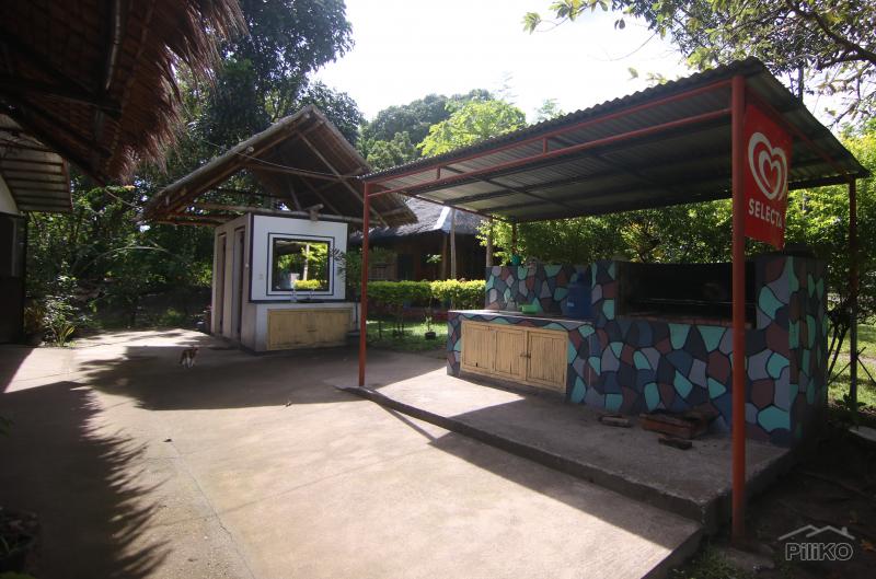 Resort Property for sale in Dumaguete - image 13