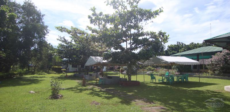 Resort Property for sale in Dumaguete - image 20
