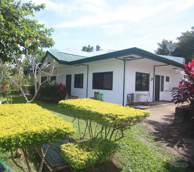 Resort Property for sale in Dumaguete - image 4