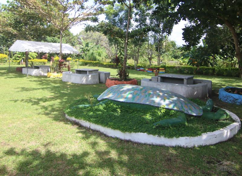 Resort Property for sale in Dumaguete - image 6