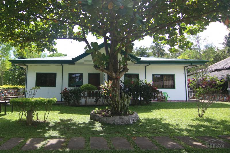 Resort Property for sale in Dumaguete in Negros Oriental - image