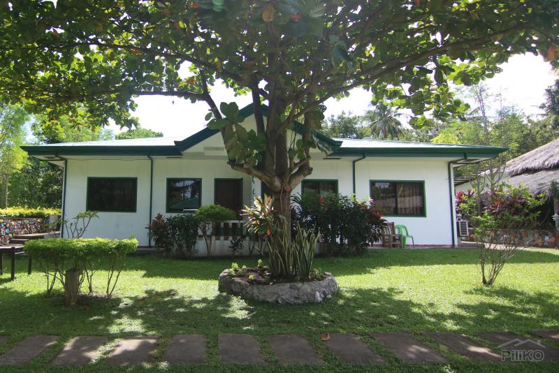 Resort Property for sale in Dumaguete - image 7