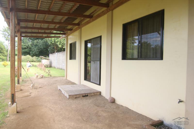 1 bedroom House and Lot for sale in Dumaguete - image 11