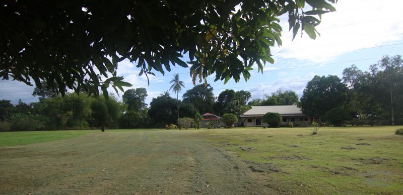 1 bedroom House and Lot for sale in Dumaguete - image 12