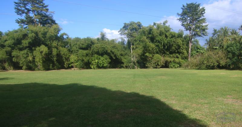 1 bedroom House and Lot for sale in Dumaguete - image 14
