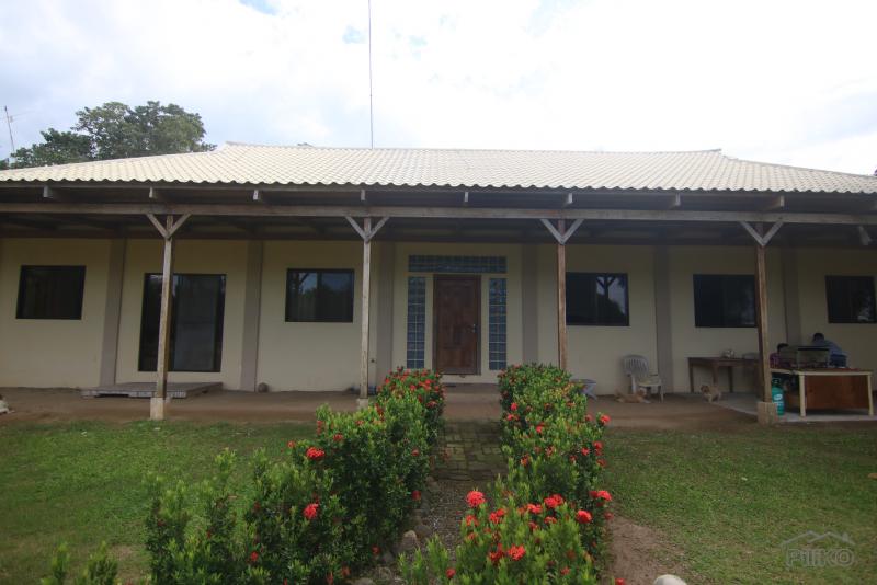 1 bedroom House and Lot for sale in Dumaguete - image 15