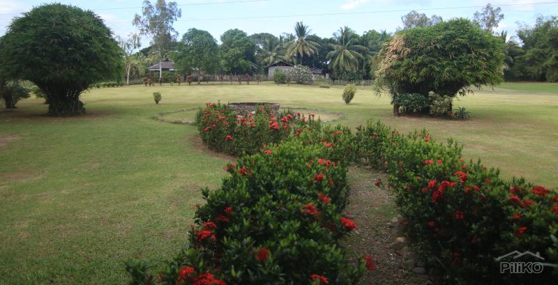 1 bedroom House and Lot for sale in Dumaguete - image 16