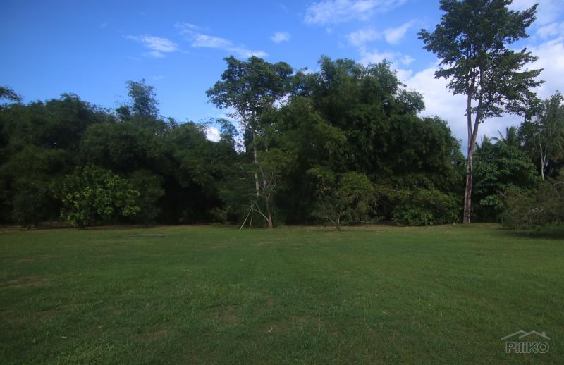 1 bedroom House and Lot for sale in Dumaguete - image 19