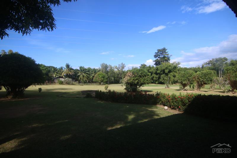 1 bedroom House and Lot for sale in Dumaguete - image 2