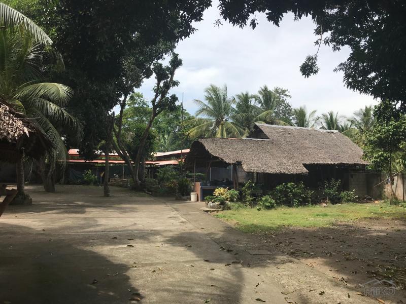 6 bedroom House and Lot for sale in Dumaguete - image 13
