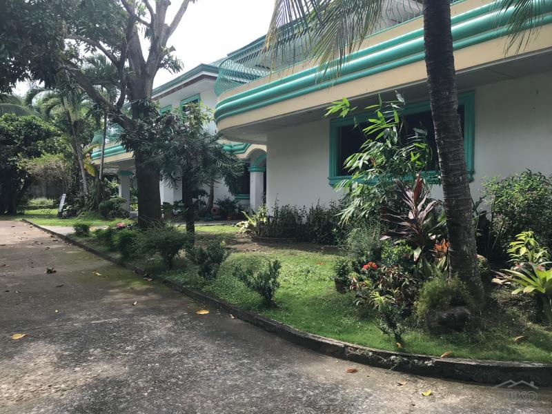 6 bedroom House and Lot for sale in Dumaguete - image 15
