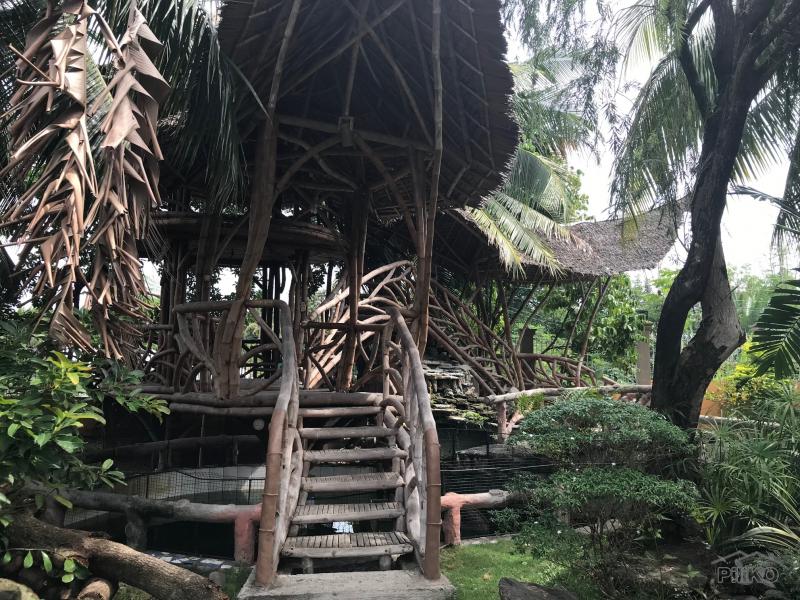 6 bedroom House and Lot for sale in Dumaguete - image 20