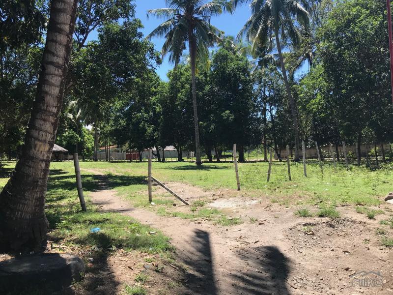 Residential Lot for sale in Bacong - image 6