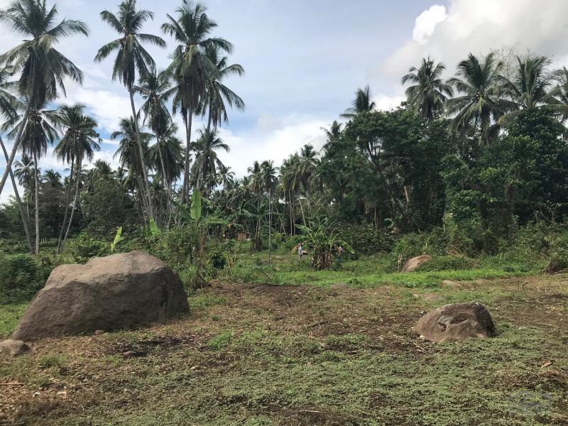 Residential Lot for sale in Valencia in Negros Oriental
