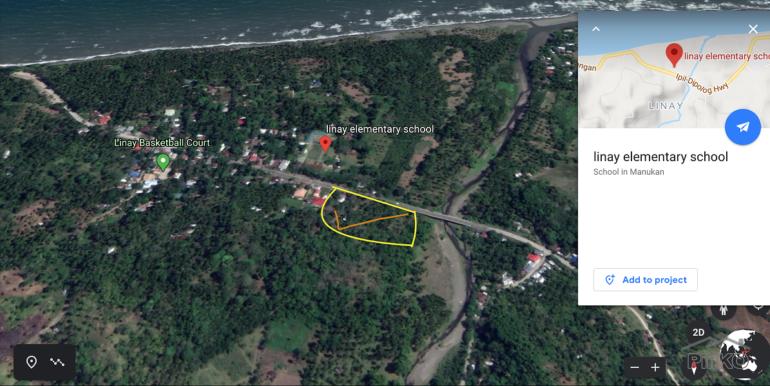 Commercial Lot for sale in Dapitan - image 10