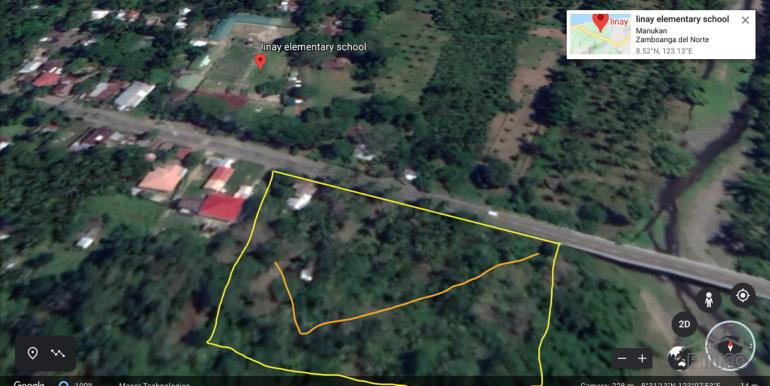 Commercial Lot for sale in Dapitan - image 11