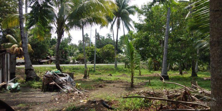 Picture of Commercial Lot for sale in Dapitan