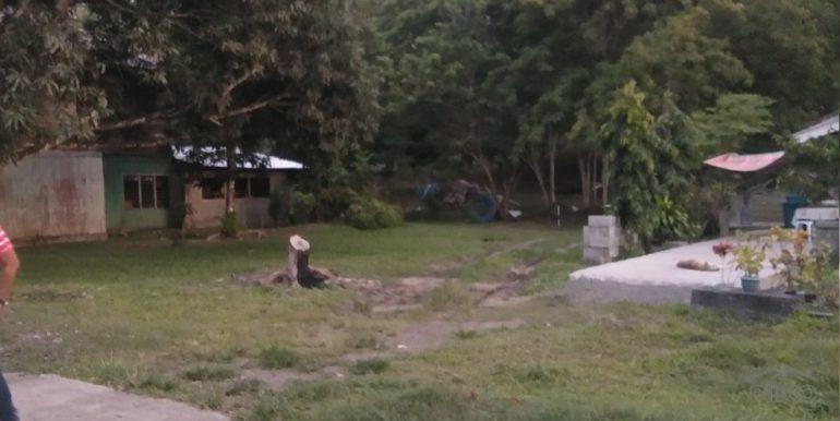 Commercial Lot for sale in Dapitan