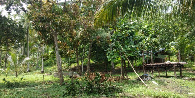Commercial Lot for sale in Dapitan - image 4