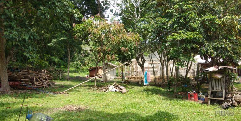 Commercial Lot for sale in Dapitan - image 5