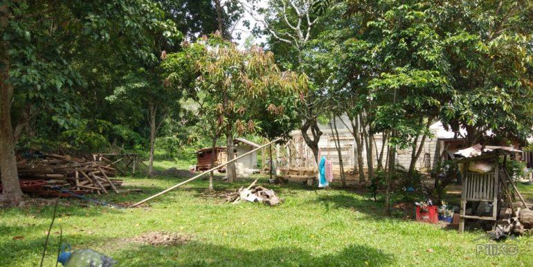 Picture of Commercial Lot for sale in Dapitan in Zamboanga del Norte
