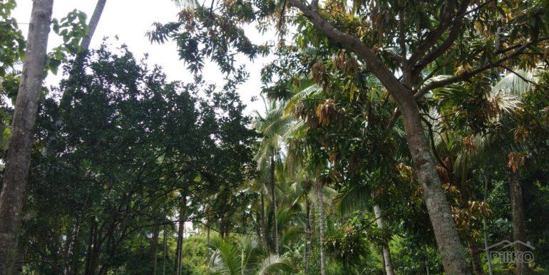 Picture of Commercial Lot for sale in Dapitan in Philippines