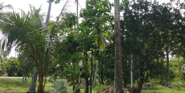 Commercial Lot for sale in Dapitan in Zamboanga del Norte - image