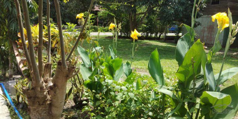 Commercial Lot for sale in Dapitan in Philippines - image