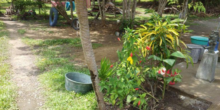 Commercial Lot for sale in Dapitan - image 9